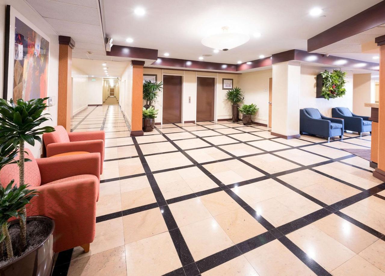 Comfort Inn & Suites Oakland Airport Exterior photo